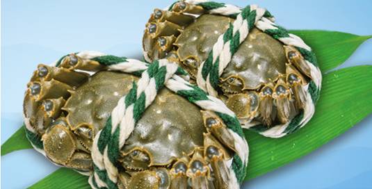 护航“蟹运”!跨越速运持续发力大闸蟹运输服务