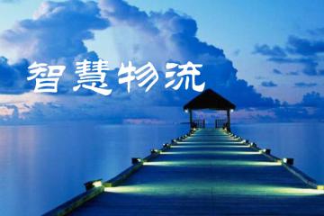 智慧物流， 物资保障的“效率革命”