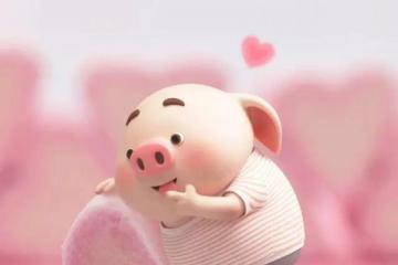 交通部：仔猪及冷鲜猪肉恢复执行绿通!