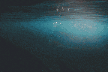 航运业却悄然复苏