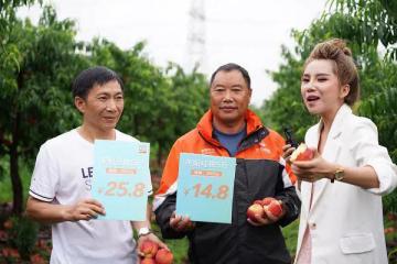 申通董事长陈德军亲赴湖北田间地头，助力农产品上行