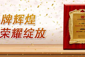 品牌辉煌 荣耀绽放 | 锐特信息创始人、董事长陈丽园女士，荣获中国品牌人物•科技创新奖