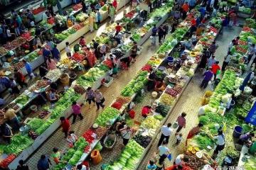 冷链物流因“疫”得福