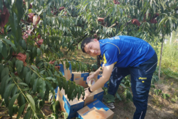 ​德邦快递加强绿色快递 “快递进村”赋能乡村振兴