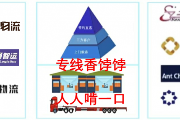 生存还是毁灭：专线们的两难选择题
