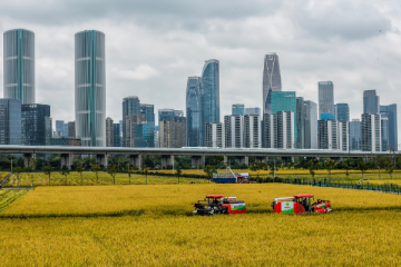 杭州成中国机器人与人工智能“摇篮