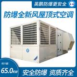 防爆全新风屋顶式空调机制冷量65KW