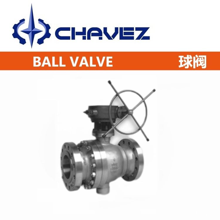 1708241722111250.jpg 310.jpg